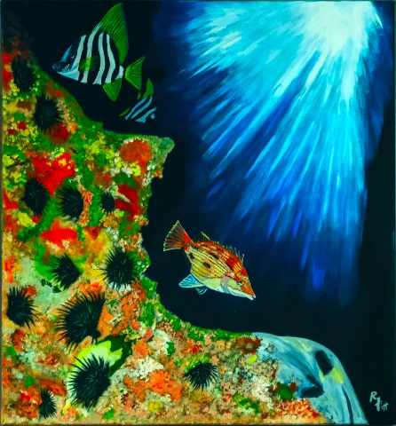 BAS Member - Painting